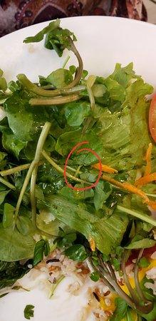 Constante Restaurante